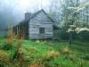 Peaceful Morning, Noah 'Bud' Ogles Place, Smoky